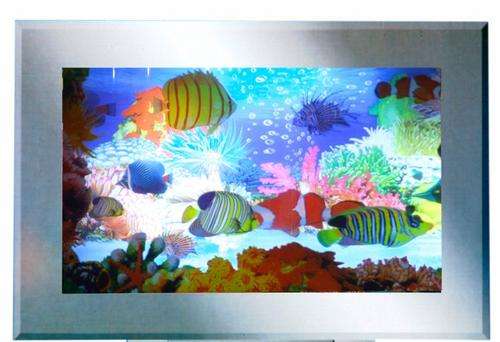 **NEW** FLAT SCREEN UNDERWATER FANTASY MOTION LIGHT AQUARIUM