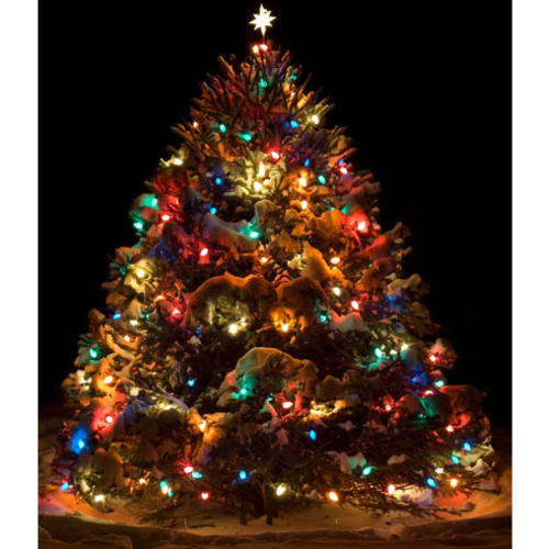 String of 40 Multicolour Christmas tree lights