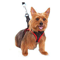 Comfy Control Harness - The world's most comfortable harness !