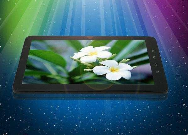 10.2 Inch Android 2.3 Tablet PC, ZePad Cortex A9, Capacitive Screen, HDMI, 1 WEEK PRICE ONLY!