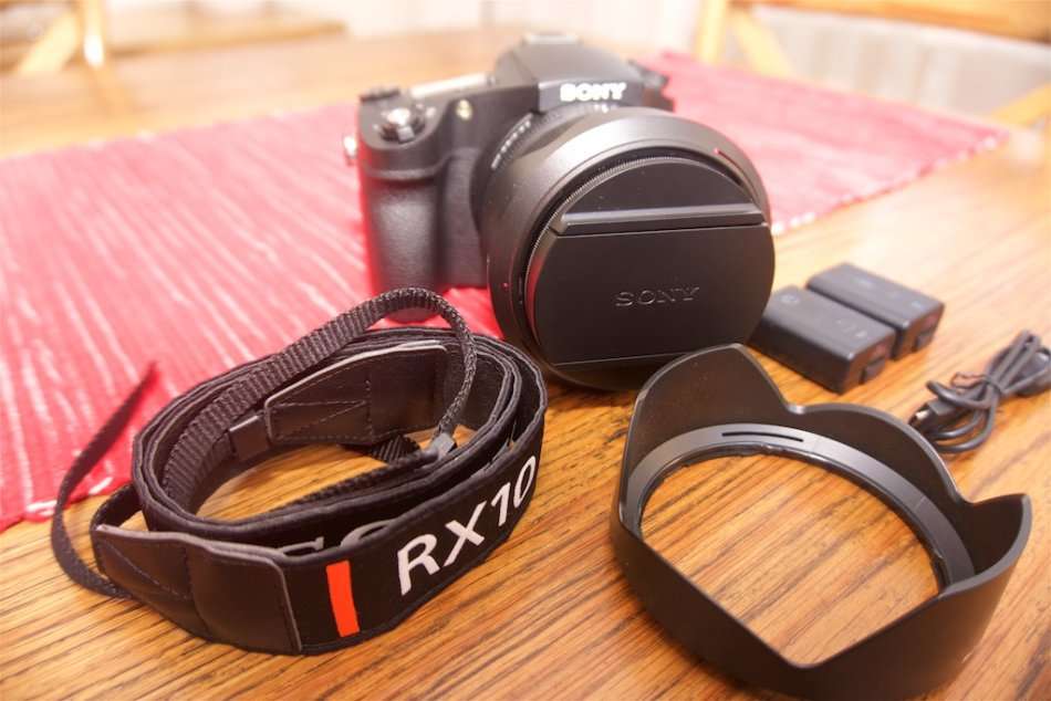 SONY RX10 III with F2.4-4 large-aperture 24-600mm Zoom Lens