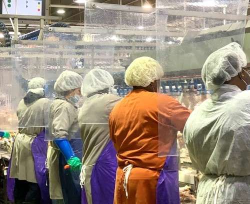 The SHIELD Suspended Safety Screen / Divider