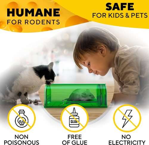 Mouse Trap: Set of 2 Humane Mice Traps (Rodent Catcher)