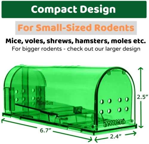 Mouse Trap: Set of 2 Humane Mice Traps (Rodent Catcher)