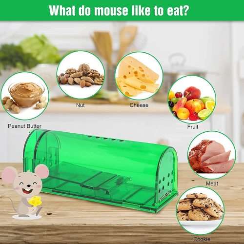 Mouse Trap: Set of 2 Humane Mice Traps (Rodent Catcher)