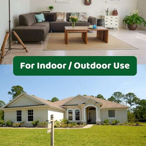 Mouse Trap: Set of 2 Humane Mice Traps (Rodent Catcher)