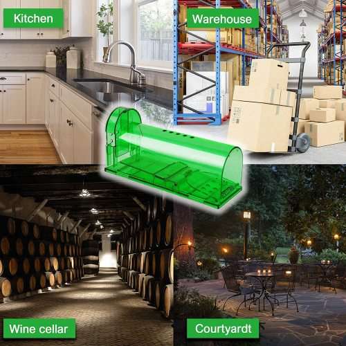 Mouse Trap: Set of 2 Humane Mice Traps (Rodent Catcher)