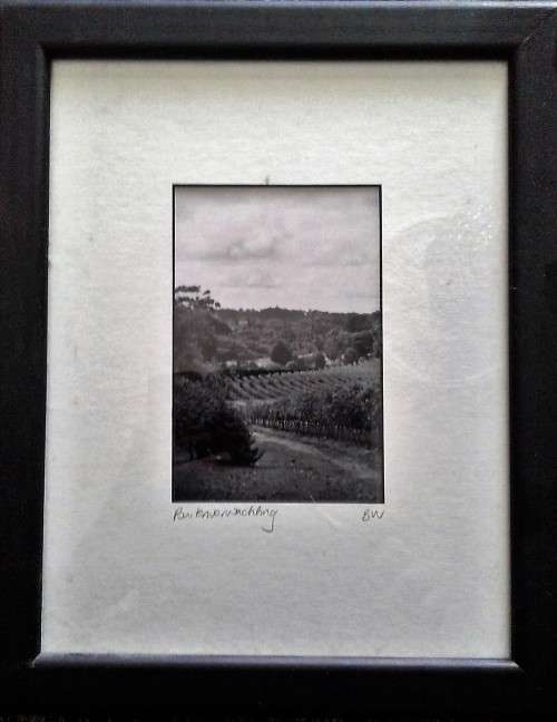 Buitenverwachting Constantia winelands, photo Lovely framed, in black and white,