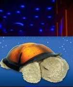 *** M*u*s*i*c*a*l *** CONSTELLATION STAR LIGHT Turtle