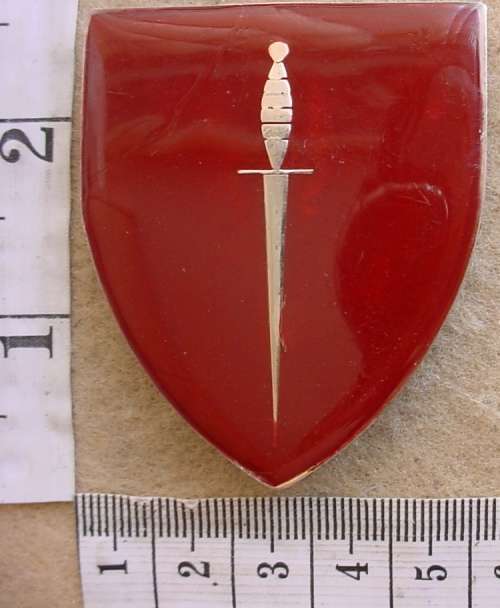 Transkei Special Forces paratrooper commando arm flash, all pins intact