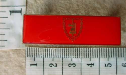 South African Army Battle School higher formation bar / balkie, left, both pins intact