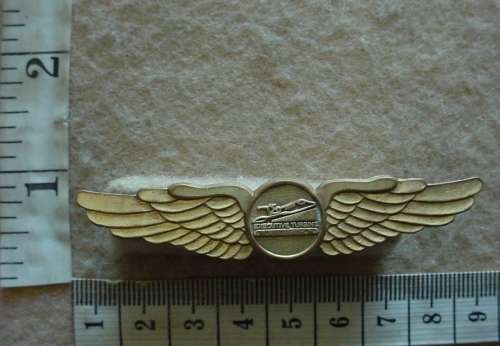 South African Executive Turbine Aviation Pilot wings badge, now obsolete