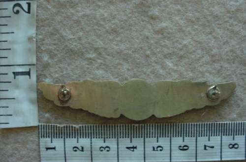 South African Executive Turbine Aviation Pilot wings badge, now obsolete