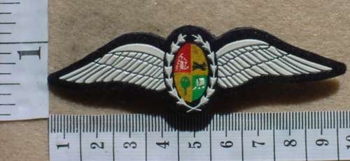 South African Air Force Pilot wings, 1970s - 80s, plastic embossed, pins intact (SAAF/SADF Bush War)