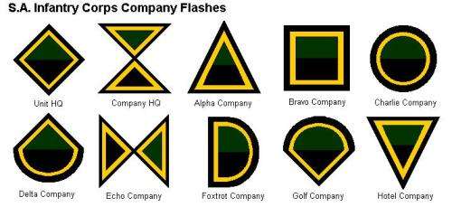 South African Army Infantry Alpha Company arm flash, pin intact, damaged bar (SAI A Coy)