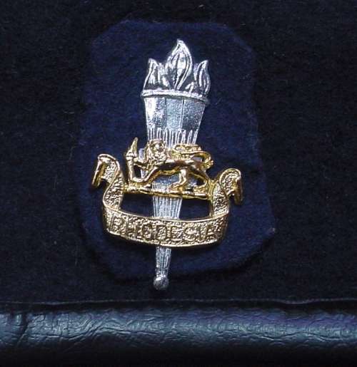 Rhodesian Army Education beret and badge, 56cm  (Rhodesia Bush War)