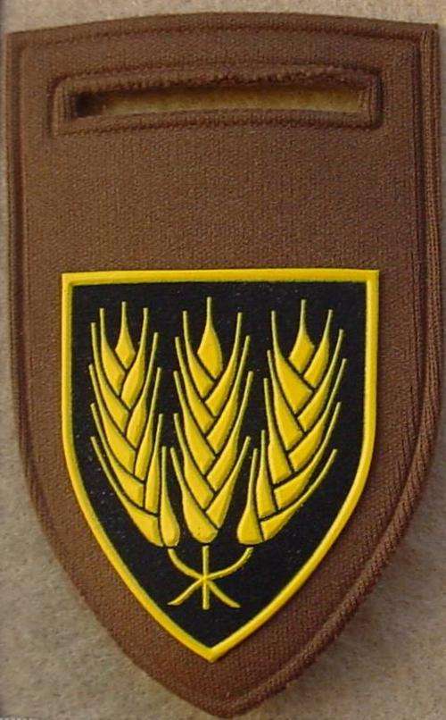 Swartland Commando arm flash, no Command balkie, tupperware, pin intact (SADF Bush War)