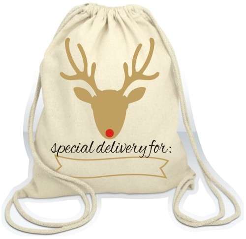 Calico Christmas Goodie Bag