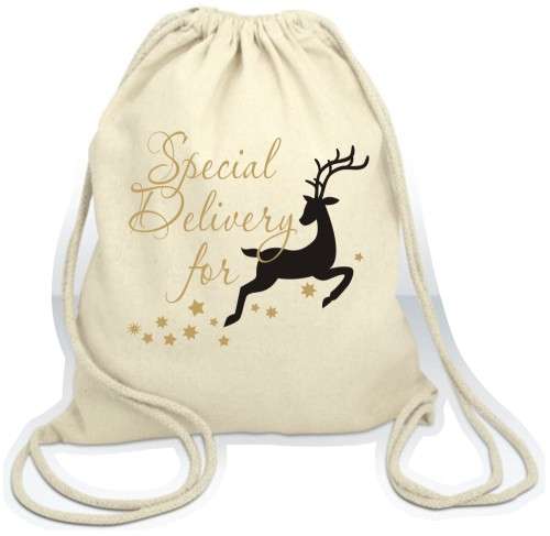 Calico Christmas Goodie Bag