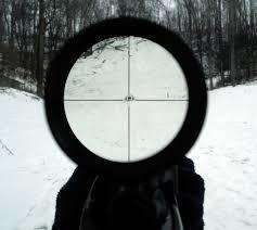 3-9 X 50 Rifle scope