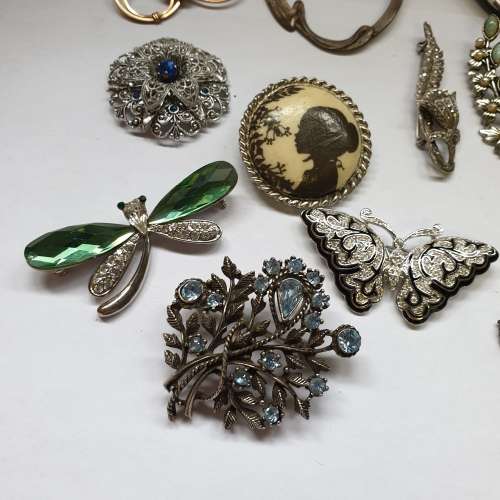 An Array of Beautiful Brooches | Bid to take All