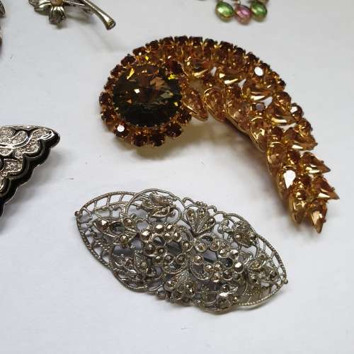 An Array of Beautiful Brooches | Bid to take All