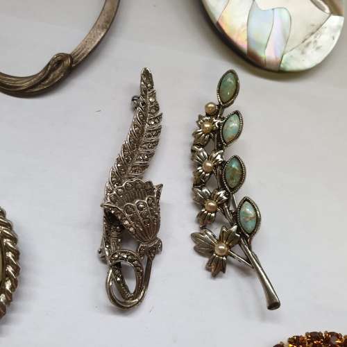 An Array of Beautiful Brooches | Bid to take All