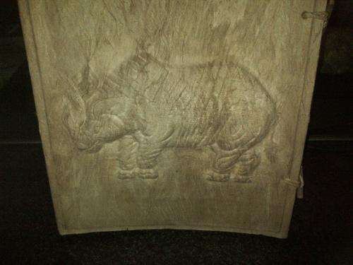 STUNNING RHINO ALBUM