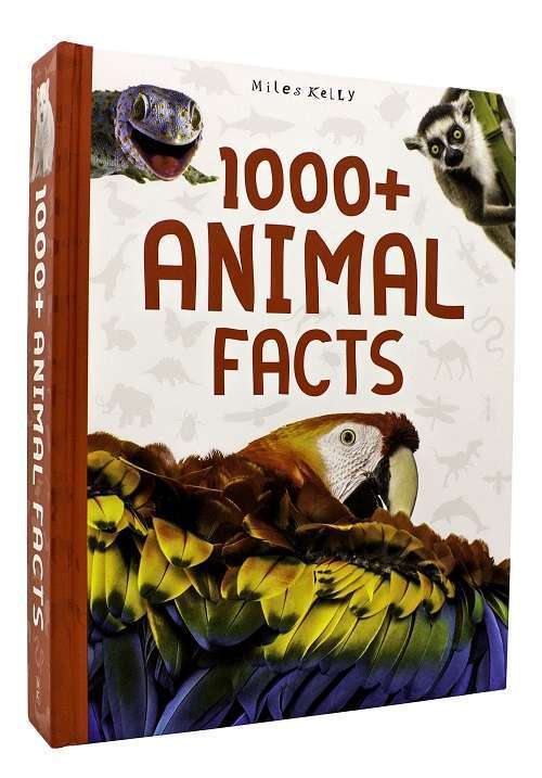 1000+ Animal Facts