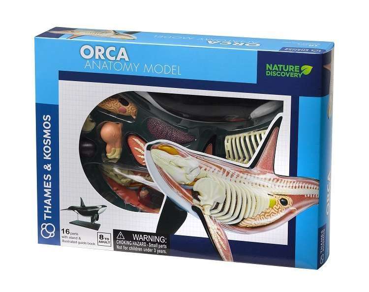 Nature Discovery Animal Anatomy Orca