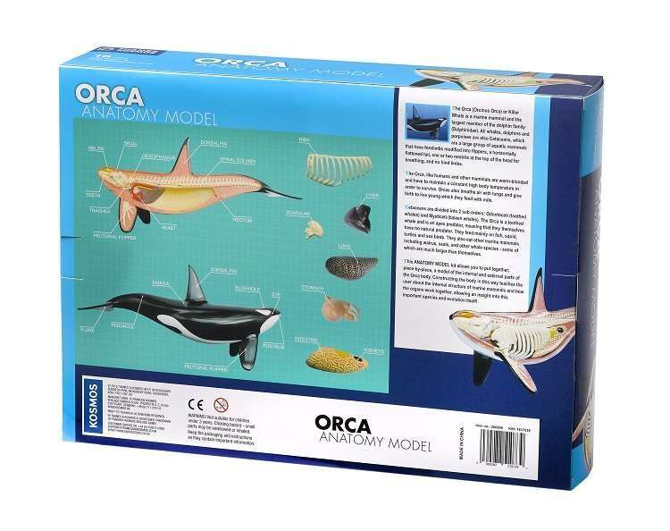 Nature Discovery Animal Anatomy Orca