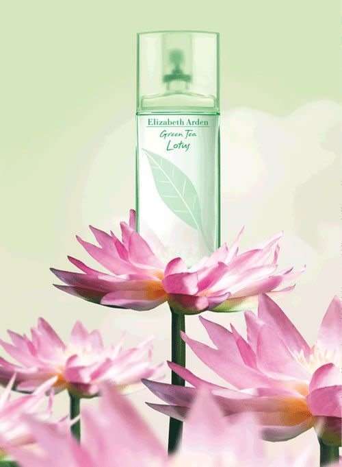 Elizabeth Arden Green Tea Lotus EDT 100 ml For Her