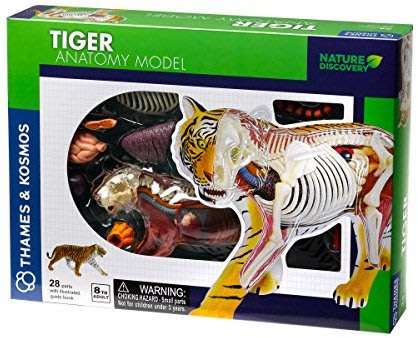Thames & Kosmos Animal Anatomy Kit - Tiger