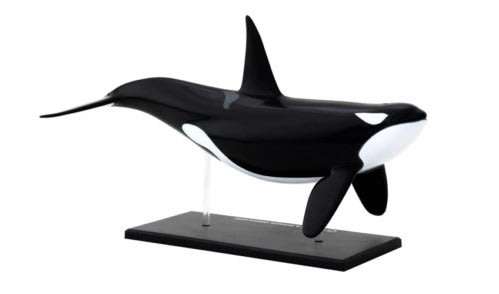 Thames & Kosmos Animal Anatomy Kit - Orca