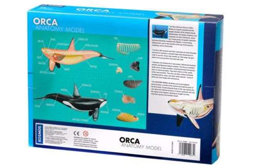Thames & Kosmos Animal Anatomy Kit - Orca