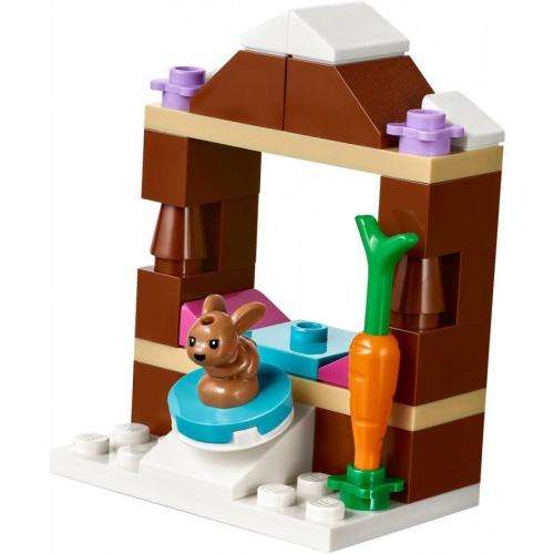 LEGO® Friends Snow Resort Ice Rink - 41322