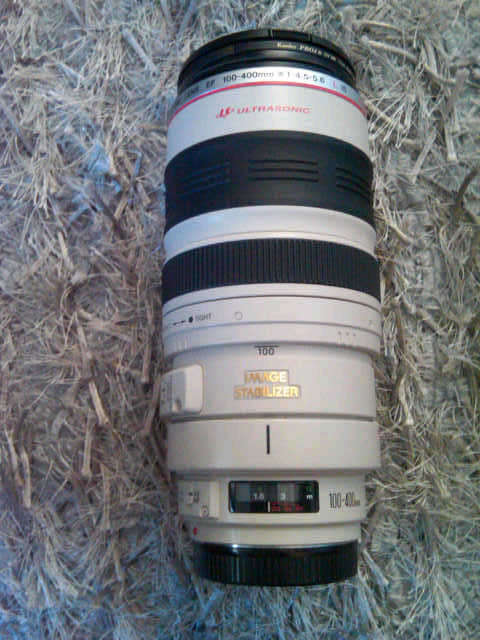 Canon EF 100-400 f/4,5-5,6 IS Lens for sale