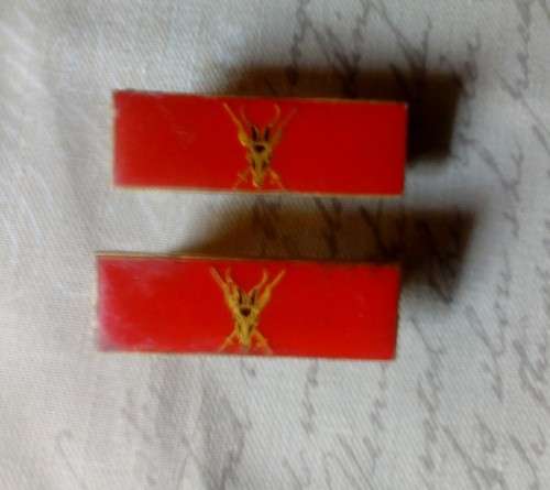 SADF / SA ARMY / SA WEERMAG - 2 badges