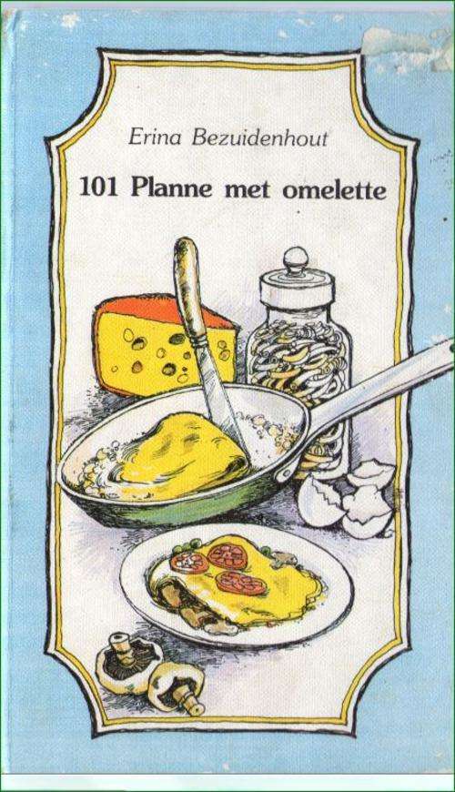 101 Planne met omelette deur Erina Bezuidenhout