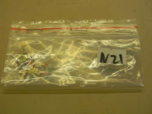 STANDING AND SITTING PEOPLE