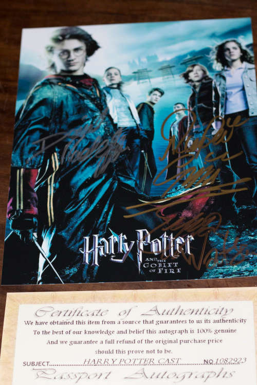 Harry Potter photo signed by 3 lead actors with COA
