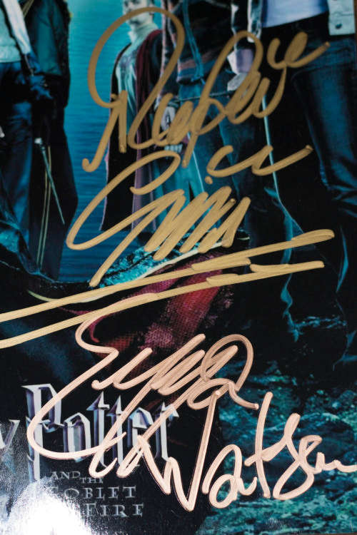 Harry Potter photo signed by 3 lead actors with COA