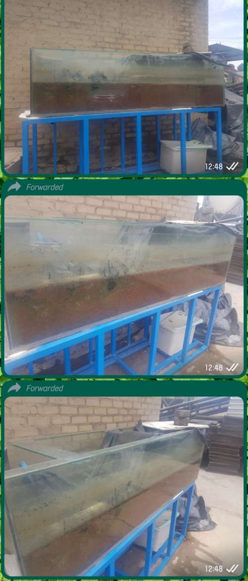 fish tanks setup