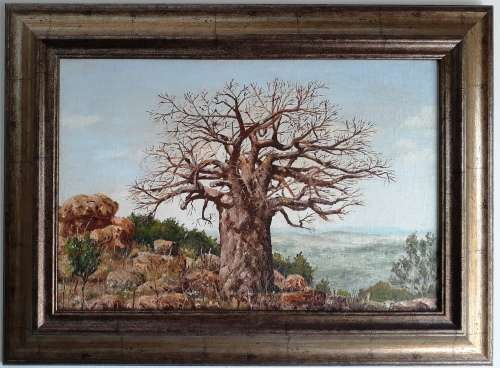 Investment! Large Oil Painting of Boabab Tree by S.A. Artist Francois Badenhorst (1935 - 2013)
