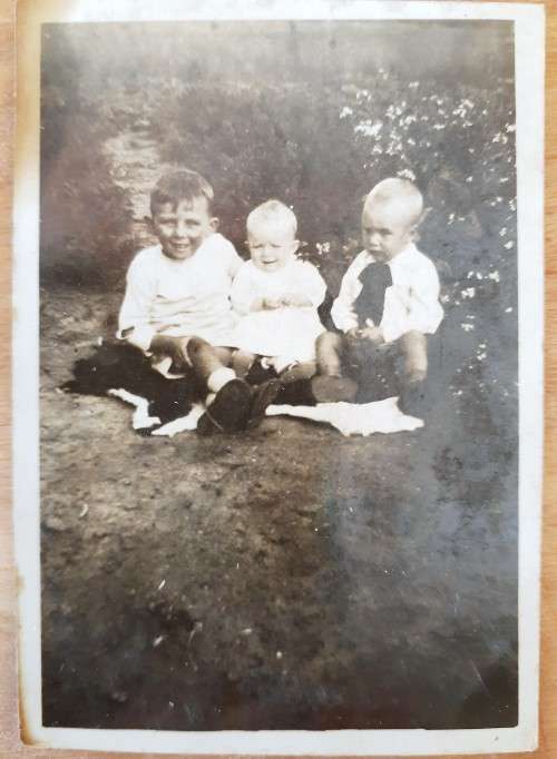 Antique 1884 Hollandse Staten Generael Bybel (Muller familie)