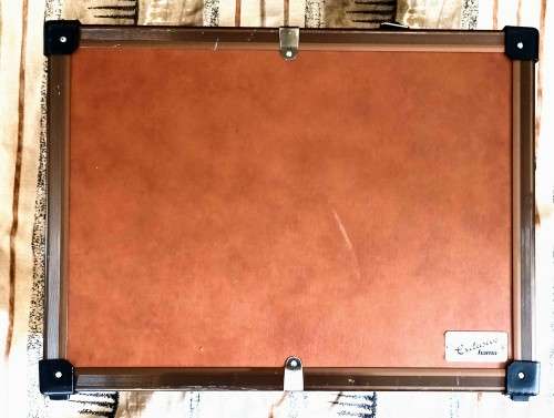 Vintage Hama Made in Japan Camera Hardcase. Good condition