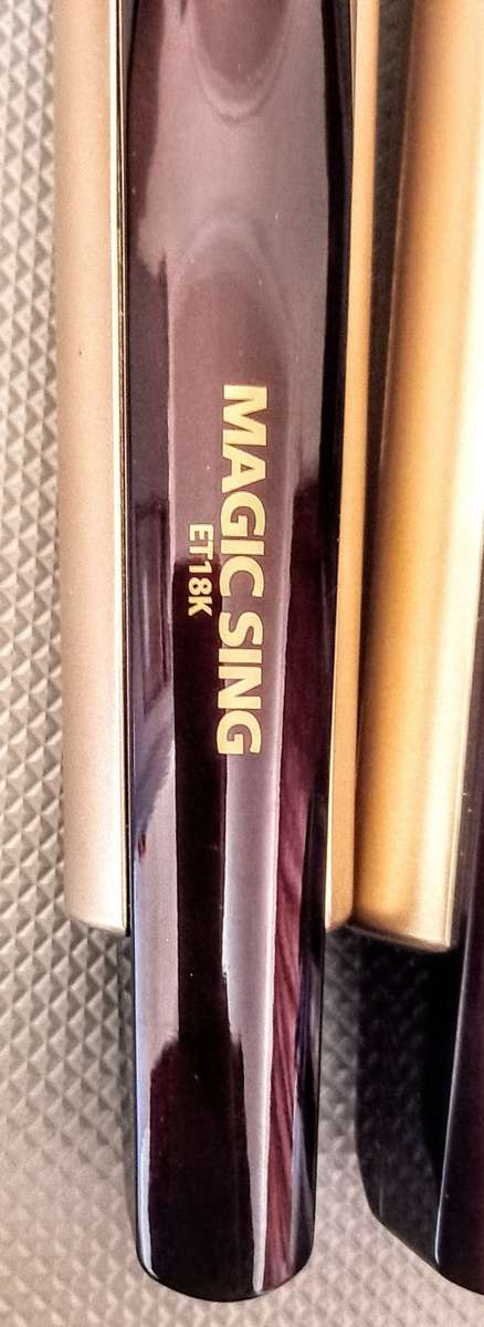 Magic Sing ET18K Karaoke Machine Microphones Only in working condition