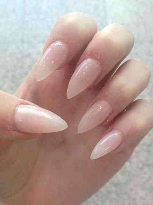 Pointed Stiletto - Natural - 100 TIPS