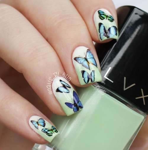WATER TRANSFER NAIL ART DECAL - FLOWER/BUTTERFLY
