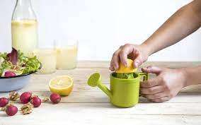 Lemonaire lemon juicer